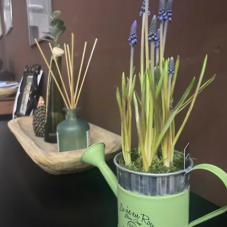 Casa Betty Hébergement de vacances *